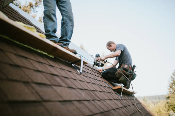 Best Roof Gutter Cleaning  in West Wareham, MA